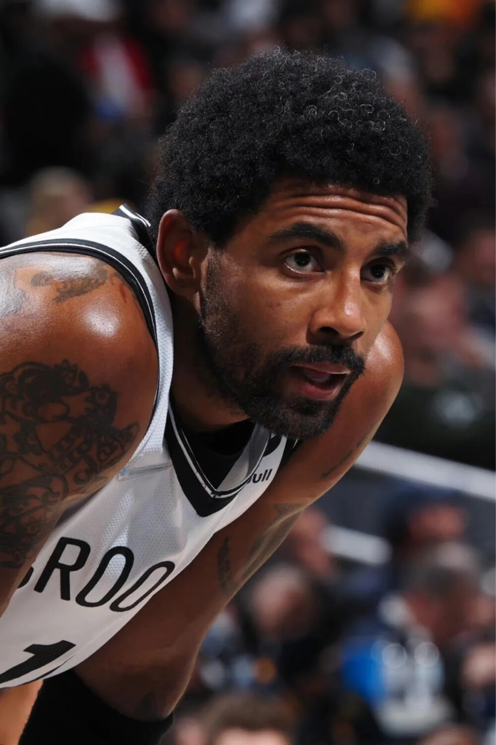 庭成员彼此 庭成员彼此