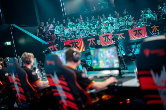 革的催化剂 革的催化剂