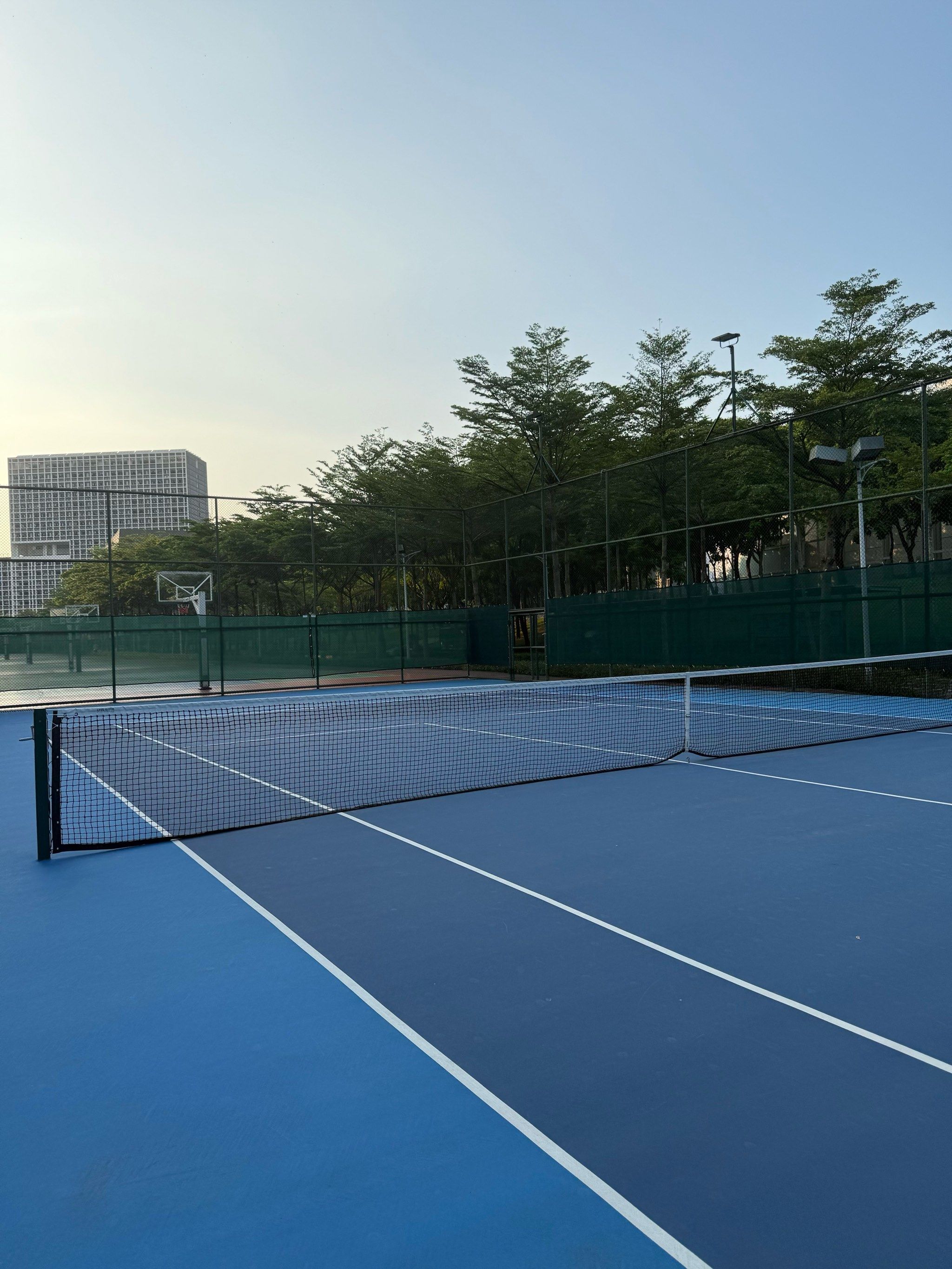 期待他们在 期待他们在