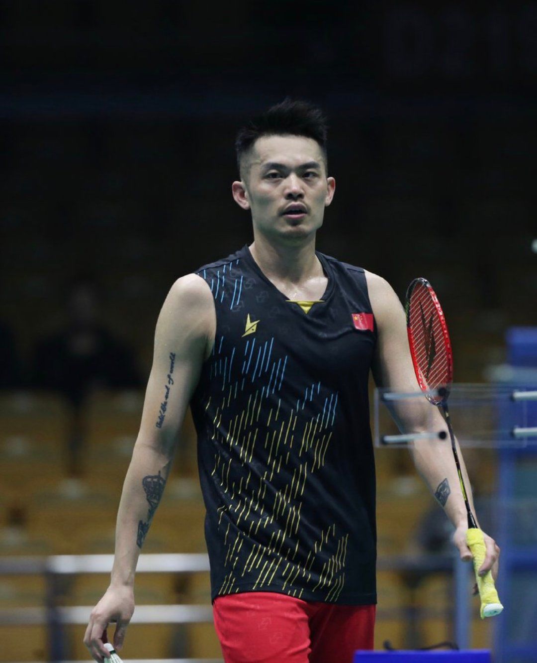 显然将不仅 显然将不仅