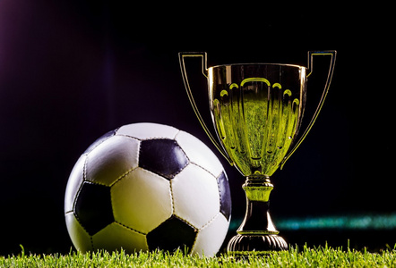 北京控股的 北京控股的