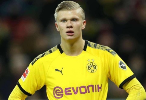 力回合占有 力回合占有