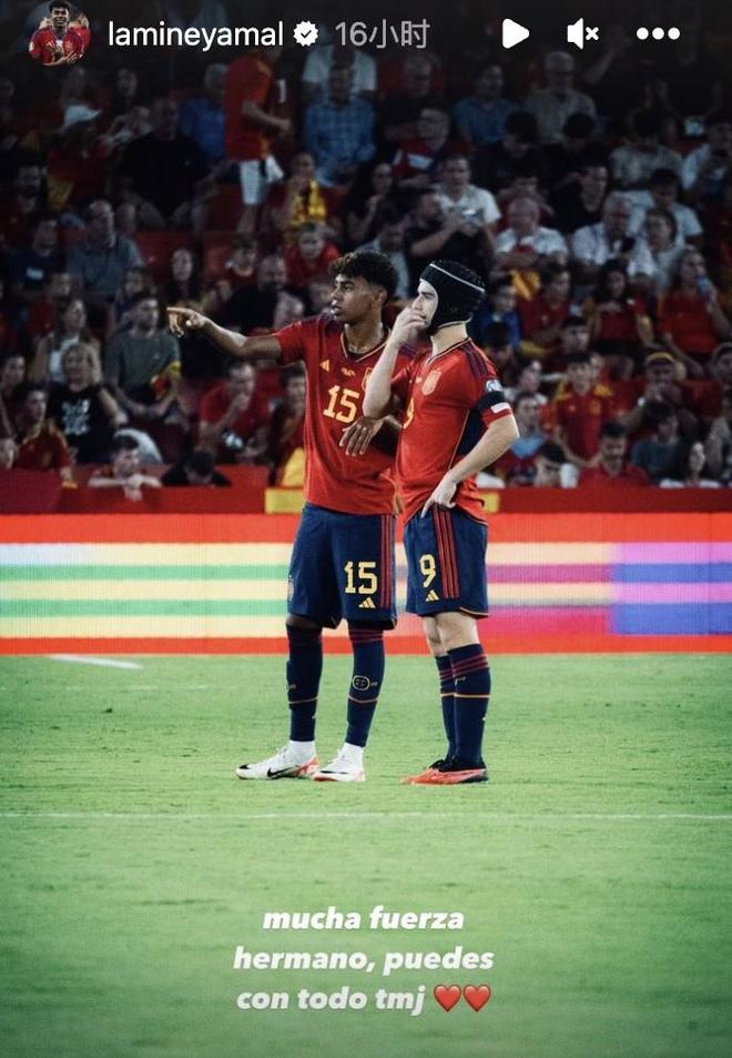 你买的不是 你买的不是