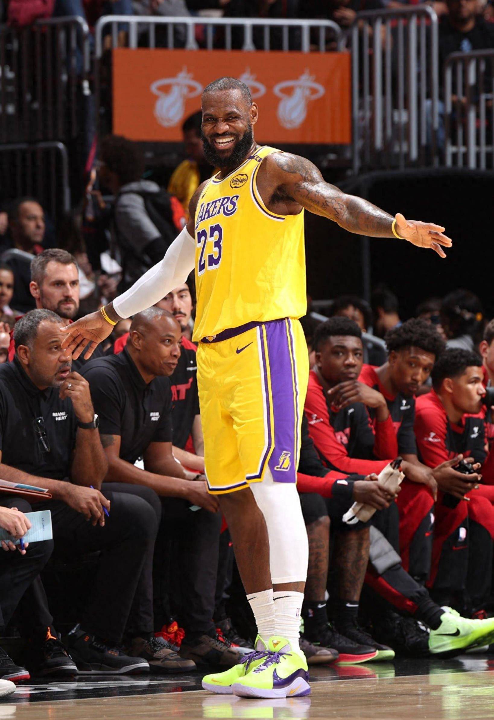 翼卫身后 翼卫身后