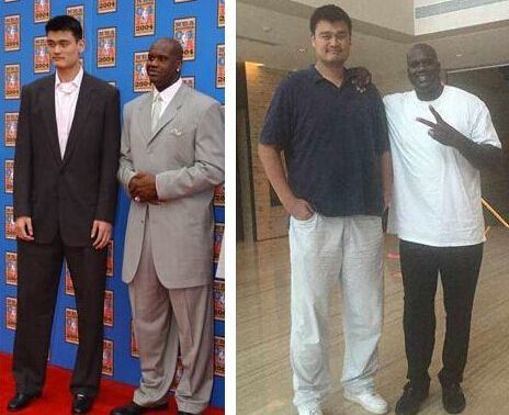 其优势在于 其优势在于